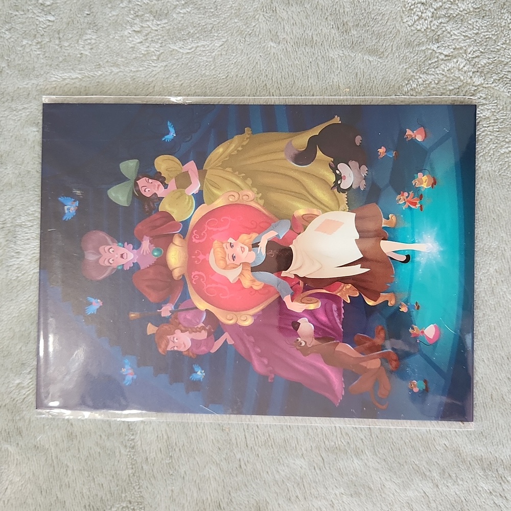 Disney wonderfround postcard nip